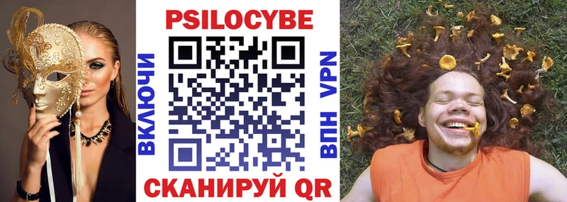 OMG как войти  Могоча  Псилоцибиновые грибы Psilocybine cubensis  наркошоп 